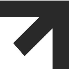 Assets icon